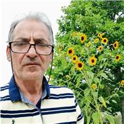 Insegnate di lingua inglese